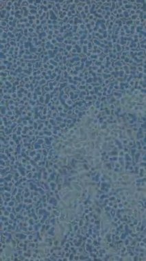 Profesyonel video projeleri sanat tarzı için organik hareketli arkaplan tasarımı