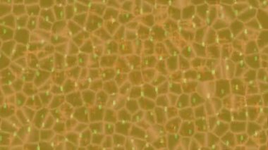 Dijital doku yüzey tasarım biçimi ile modern video animasyonu için gelişmiş hareket grafikleri