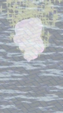 Yaratıcı video düzenleme film arkaplan tasarımı için minimalist organik hareket grafikleri