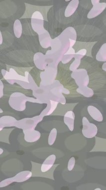 Soyut hareket desenli fütüristik video üretimi için dinamik dijital arkaplan