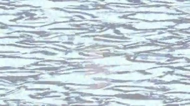 Estetik doku arkaplan tasarımı renkli hareket grafikleri ile moda film giriş profosyoneli