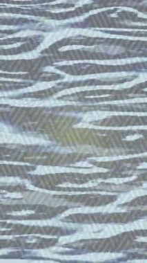 Benzersiz dijital hareket grafiklerine sahip yaratıcı sinematik projeler için yumuşak animasyon yüzeyi