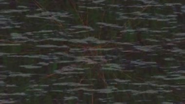 Yaratıcı video düzenleme film tasarımı için benzersiz hareket grafikleri biçimi giriş hareketi video pro