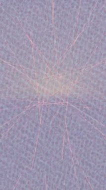 Dijital doku yüzey tasarım biçimi ile modern video animasyonu için gelişmiş hareket grafikleri