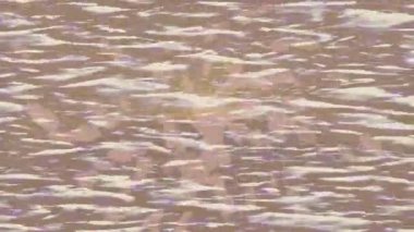 Organik desenli yüzey giriş stili video film sanatı ile soyut arkaplan tasarımı