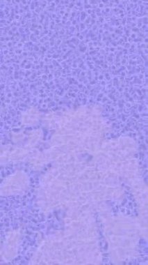 Estetik doku arkaplan tasarımı renkli hareket grafikleri ile moda film giriş profosyoneli