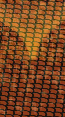 Lüks hareket tasarımı üst düzey video projeleri ve dijital sanat için zarif, pürüzsüz bir dokusu var.