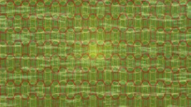 Organik desenli yüzey giriş stili video film sanatı ile soyut arkaplan tasarımı