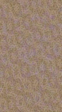 Lüks hareket tasarımı üst düzey video projeleri ve dijital sanat için zarif, pürüzsüz bir dokusu var.