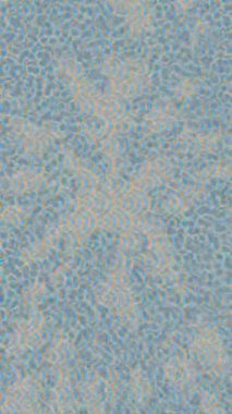 Lüks hareket tasarımı üst düzey video projeleri ve dijital sanat için zarif, pürüzsüz bir dokusu var.