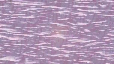 Yaratıcı video düzenleme film tasarımı için benzersiz hareket grafikleri biçimi giriş hareketi video pro