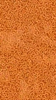 Lüks hareket tasarımı üst düzey video projeleri ve dijital sanat için zarif, pürüzsüz bir dokusu var.