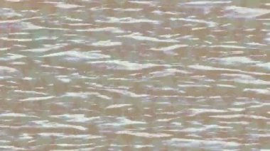 Yaratıcı video düzenleme film arkaplan tasarımı için minimalist organik hareket grafikleri