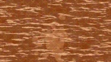 Benzersiz dijital hareket grafiklerine sahip yaratıcı sinematik projeler için yumuşak animasyon yüzeyi