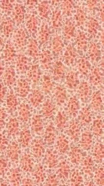 Benzersiz dijital hareket grafiklerine sahip yaratıcı sinematik projeler için yumuşak animasyon yüzeyi