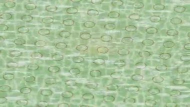 Lüks hareket projeleri için soyut tasarım stili animasyonu olan üst düzey dijital doku