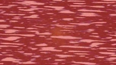 Yaratıcı video düzenleme film tasarımı için benzersiz hareket grafikleri biçimi giriş hareketi video pro