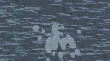 Benzersiz dijital hareket grafiklerine sahip yaratıcı sinematik projeler için yumuşak animasyon yüzeyi