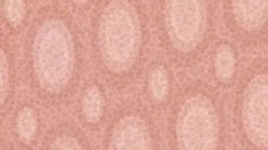 Profesyonel video projeleri sanat tarzı için organik hareketli arkaplan tasarımı