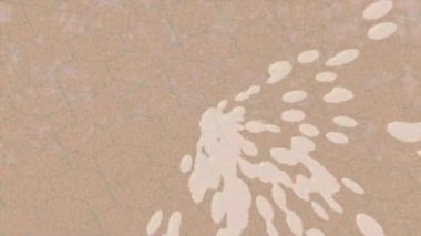 Yaratıcı video düzenleme film arkaplan tasarımı için minimalist organik hareket grafikleri