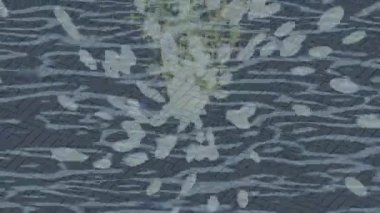 Benzersiz hareket dokusu tasarım sanatı ile profesyonel video düzenleme için modern soyut grafikler