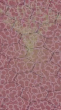 Organik desenli yüzey giriş stili video film sanatı ile soyut arkaplan tasarımı