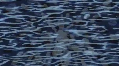 Benzersiz hareket grafikleri tasarım sanatına sahip yaratıcı film üretimi için özet bir arkaplan