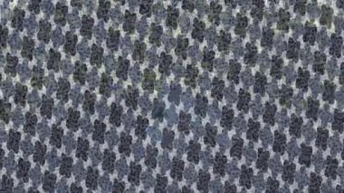 Organik desenli yüzey giriş stili video film sanatı ile soyut arkaplan tasarımı