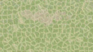 Benzersiz dijital hareket grafiklerine sahip yaratıcı sinematik projeler için yumuşak animasyon yüzeyi