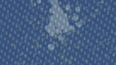 Lüks hareket projeleri için soyut tasarım stili animasyonu olan üst düzey dijital doku