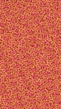 Yaratıcı video düzenleme film tasarımı için benzersiz hareket grafikleri biçimi giriş hareketi video pro