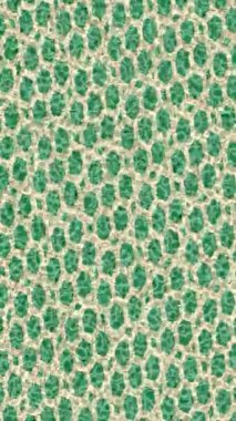 Organik desenli yüzey giriş stili video film sanatı ile soyut arkaplan tasarımı