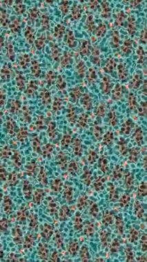 Benzersiz video giriş tasarımı projeleri için detaylı yüzey kalıbı film animasyon stili grafik girişi