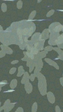 Benzersiz dijital hareket grafiklerine sahip yaratıcı sinematik projeler için yumuşak animasyon yüzeyi