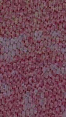 Modern medya üretimi için fütüristik dijital soyut doku sinematik tarz hareketli grafik ögesi