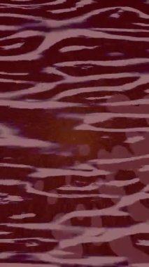 Dijital doku yüzey tasarım biçimi ile modern video animasyonu için gelişmiş hareket grafikleri