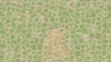 Benzersiz hareket grafikleri tasarım sanatına sahip yaratıcı film üretimi için özet bir arkaplan