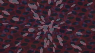 Lüks hareket projeleri için soyut tasarım stili animasyonu olan üst düzey dijital doku