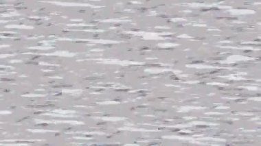 Benzersiz video giriş tasarımı projeleri için detaylı yüzey kalıbı film animasyon stili grafik girişi