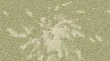 Benzersiz dijital animasyon tarzı grafikleri olan yaratıcı ortam tasarımı için yenilikçi hareket dokusu