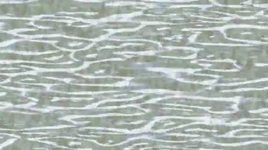 Profesyonel video projeleri sanat tarzı için organik hareketli arkaplan tasarımı