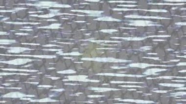 Yaratıcı video düzenleme film tasarımı için benzersiz hareket grafikleri biçimi giriş hareketi video pro