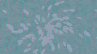 Benzersiz dijital animasyon tarzı grafikleri olan yaratıcı ortam tasarımı için yenilikçi hareket dokusu