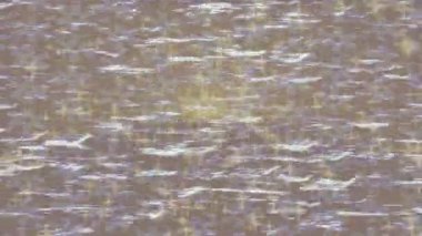 Benzersiz dijital animasyon tarzı grafikleri olan yaratıcı ortam tasarımı için yenilikçi hareket dokusu