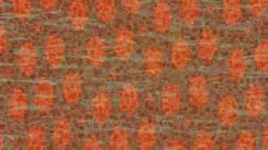 Estetik doku arkaplan tasarımı renkli hareket grafikleri ile moda film giriş profosyoneli