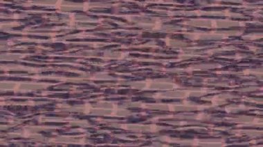 Benzersiz dijital hareket grafiklerine sahip yaratıcı sinematik projeler için yumuşak animasyon yüzeyi