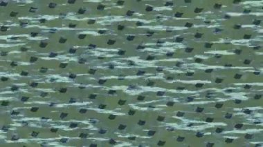 Profesyonel video projeleri sanat tarzı için organik hareketli arkaplan tasarımı