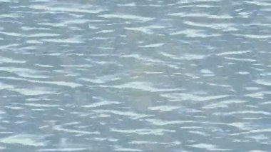 Yaratıcı video düzenleme film tasarımı için benzersiz hareket grafikleri biçimi giriş hareketi video pro