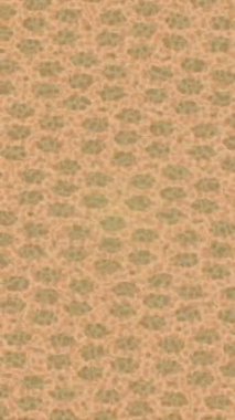 Estetik doku arkaplan tasarımı renkli hareket grafikleri ile moda film giriş profosyoneli