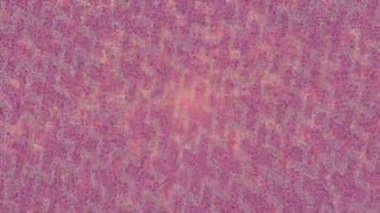 Dijital doku yüzey tasarım biçimi ile modern video animasyonu için gelişmiş hareket grafikleri